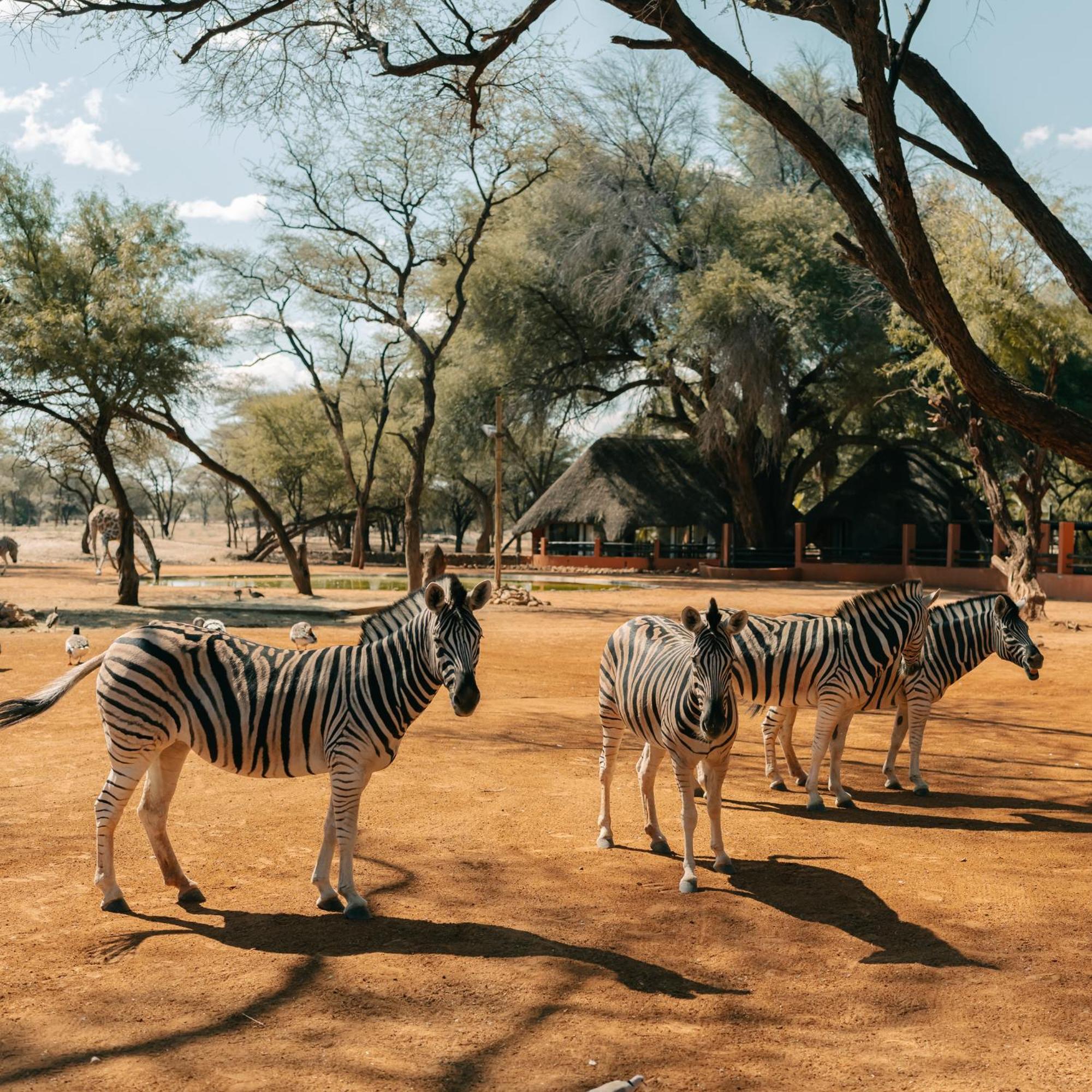 Omaruru Game Lodge Buitenkant foto