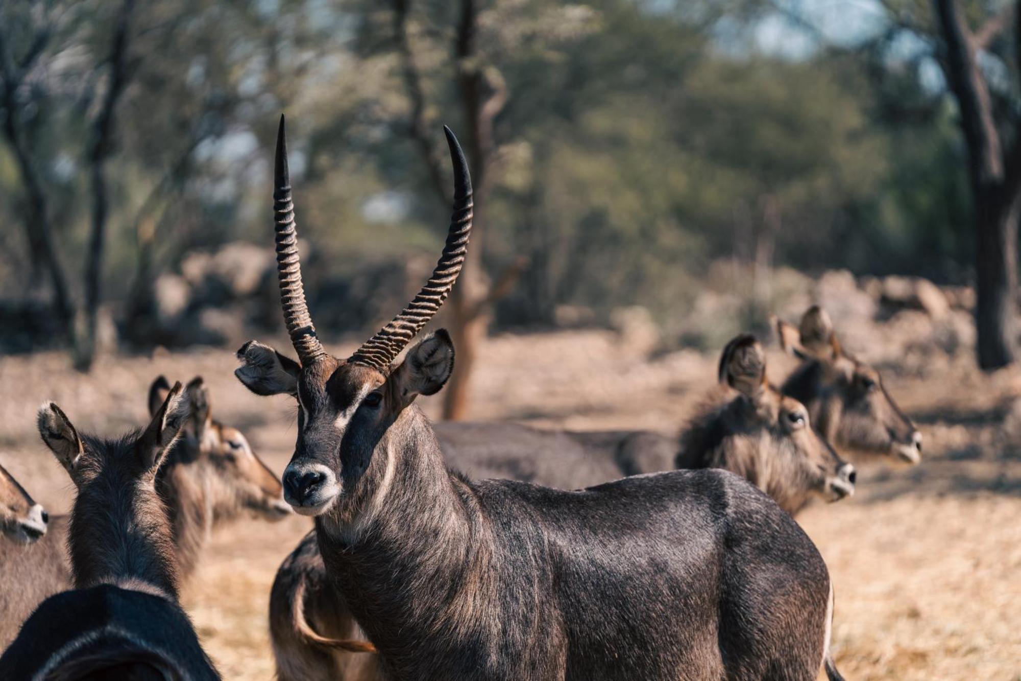Omaruru Game Lodge Buitenkant foto